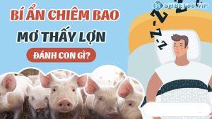 con heo số mấy