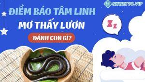 con lươn số mấy