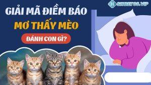 Con mèo số mấy