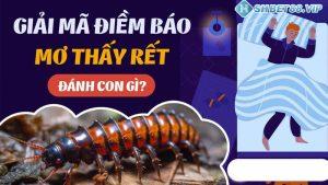 Con rết số mấy