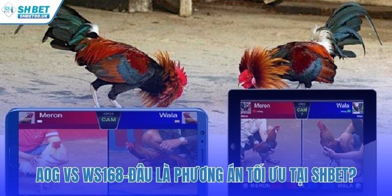 So sánh AOG và WS168 để tìm ra nền tảng phù hợp
