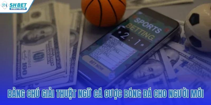 Bảng tra cứu nhanh các thuật ngữ cá cược quan trọng