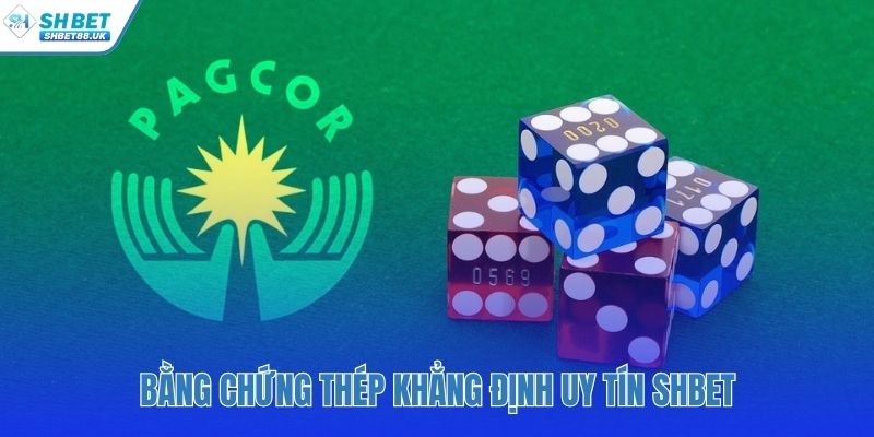Kiểm chứng độ tin cậy của SHBET qua dữ liệu thực tế