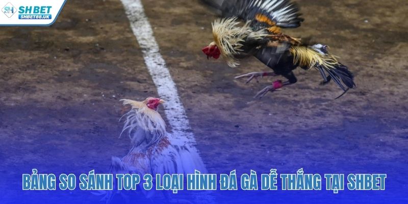 So sánh trực quan giúp nhận diện loại hình sở trường