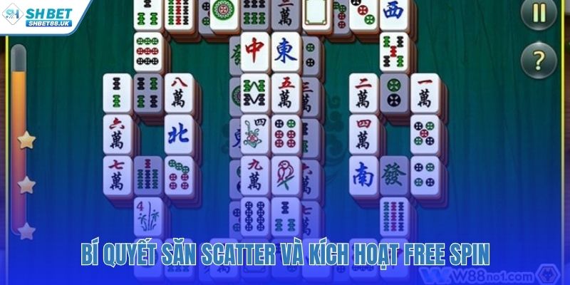 Thu thập Scatter yếu tố chính cho vòng quay miễn phí