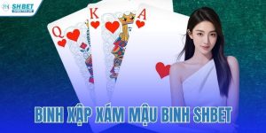 Binh Xập Xám Mậu Binh SHBET