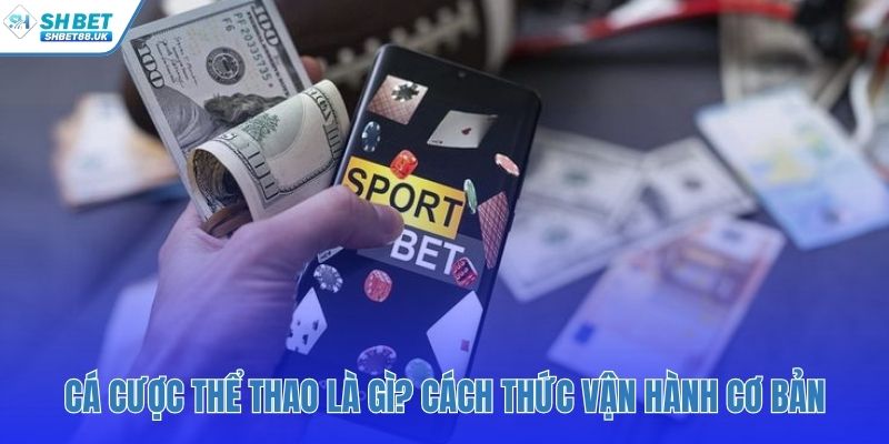 Nhà cái tổ chức và đưa ra các tỷ lệ cược