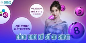 cách chơi xổ số 4D SHBET