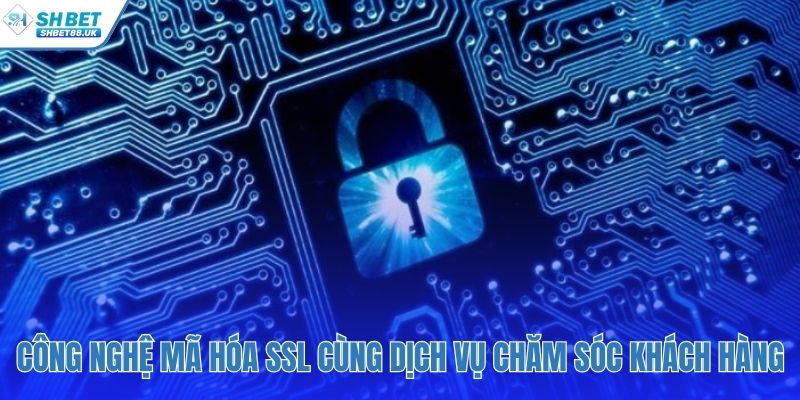 Giới thiệu SHBET với bảo mật SSL và hỗ trợ khách hàng 24/7
