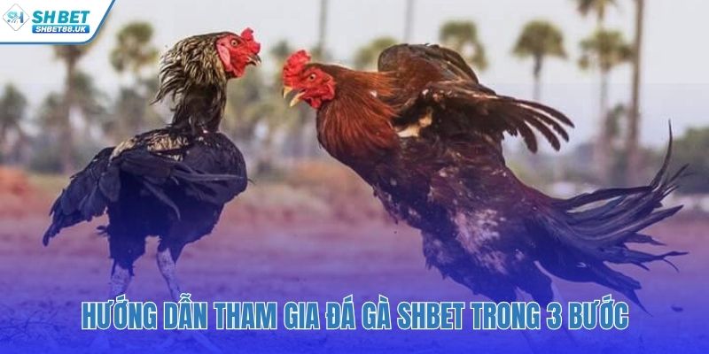 Bắt đầu dễ dàng với ba bước đăng ký nạp tiền và vào sảnh