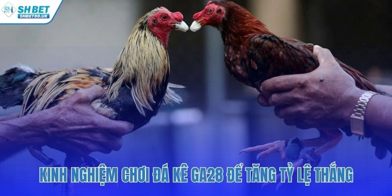 Kỷ luật vốn và tâm lý là chiến thuật chơi hiệu quả