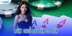 Luật Chơi Bài Tấn Cơ Bản
