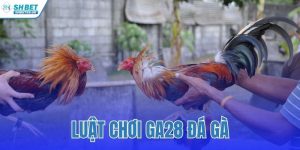 luật chơi GA28 đá gà