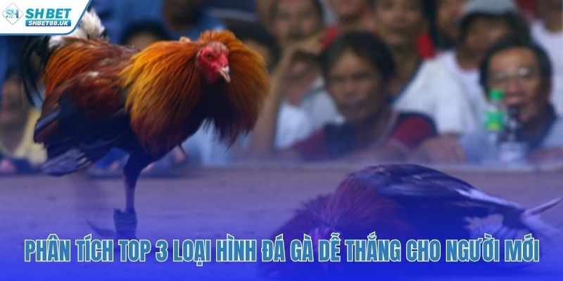 Xác định phong cách chọi kê hợp với bản thân