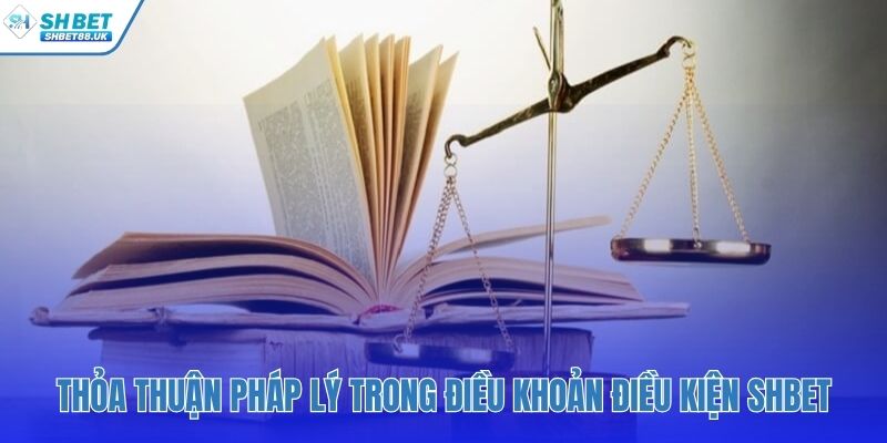 Điều khoản điều kiện SHBET thiết lập một giao kết pháp lý