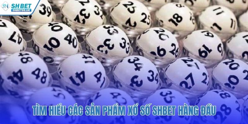 Đa dạng loại hình từ truyền thống đến siêu tốc hiện đại